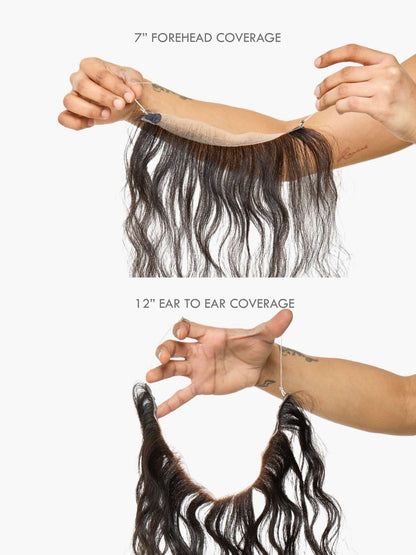 Receding Hairline - Clipfree Band